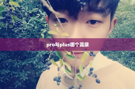 pro与plus哪个高级