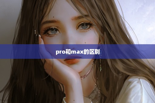 pro和max的区别