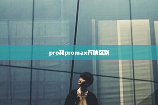 pro和promax有啥区别