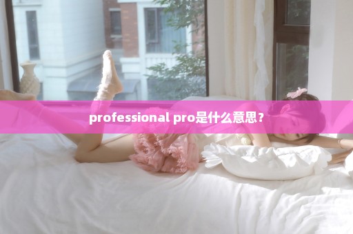 professional pro是什么意思？