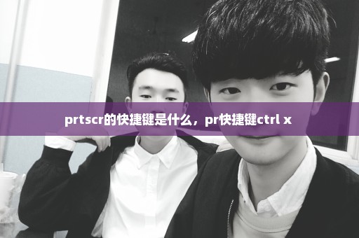 prtscr的快捷键是什么，pr快捷键ctrl+x 