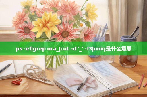 ps -ef|grep ora_|cut -d '_' -f3|uniq是什么意思