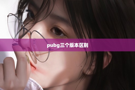 pubg三个版本区别