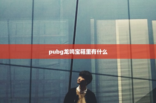 pubg龙鸣宝箱里有什么