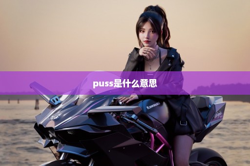 puss是什么意思