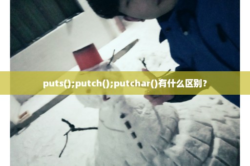 puts();putch();putchar()有什么区别？