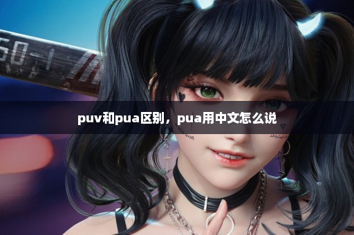 puv和pua区别，pua用中文怎么说