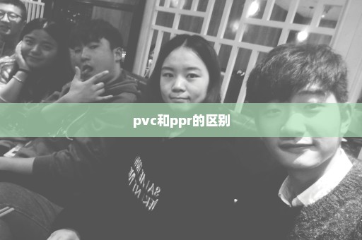 pvc和ppr的区别