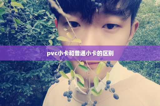 pvc小卡和普通小卡的区别