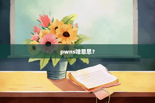 pwns啥意思？