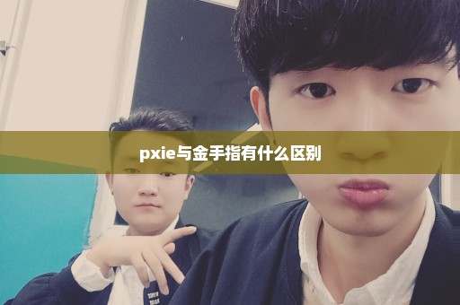 pxie与金手指有什么区别