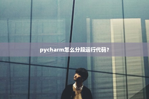 pycharm怎么分段运行代码？