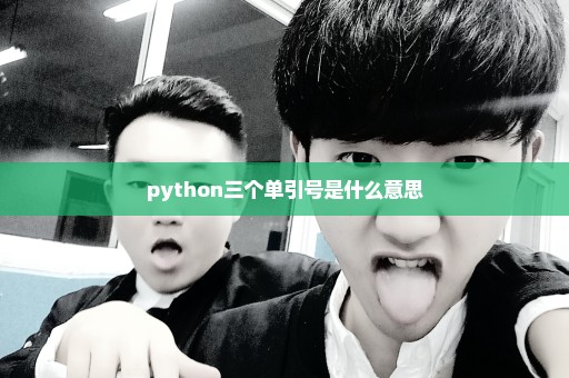 python三个单引号是什么意思