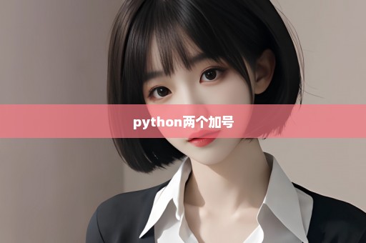 python两个加号