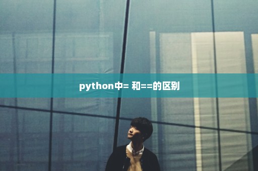 python中= 和==的区别