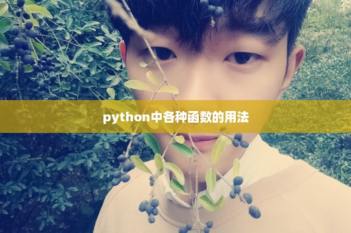 python中各种函数的用法