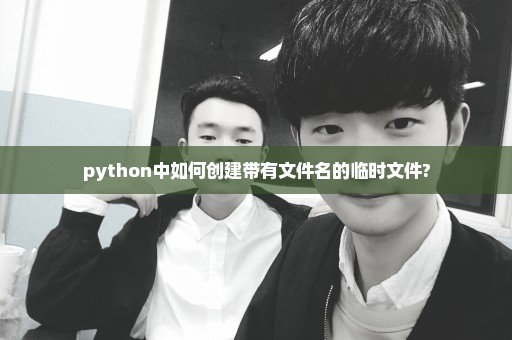 python中如何创建带有文件名的临时文件?