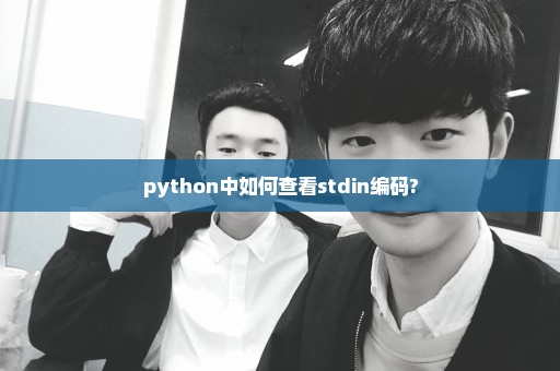 python中如何查看stdin编码?