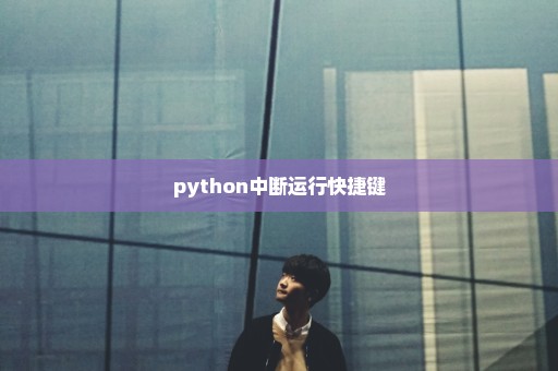 python中断运行快捷键