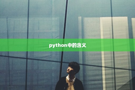 python中的含义