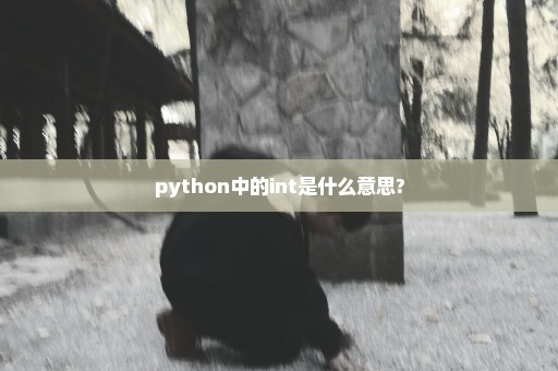 python中的int是什么意思?