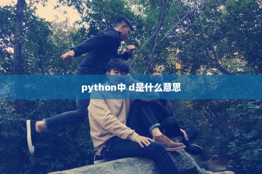 python中 d是什么意思