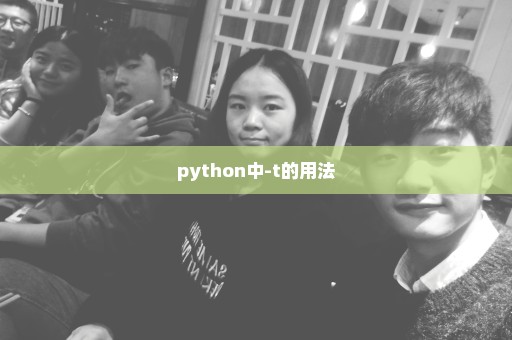 python中-t的用法