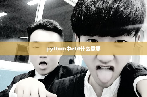 python中elif什么意思