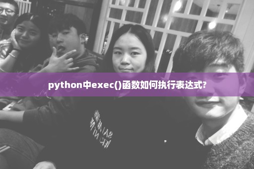 python中exec()函数如何执行表达式?