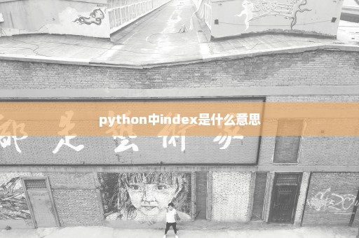 python中index是什么意思