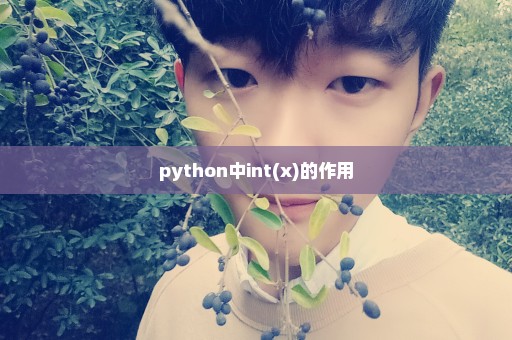 python中int(x)的作用