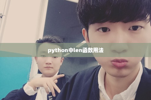 python中len函数用法