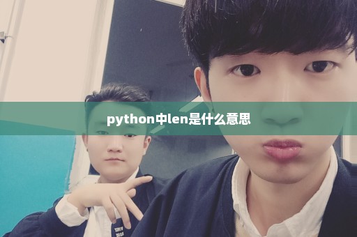 python中len是什么意思