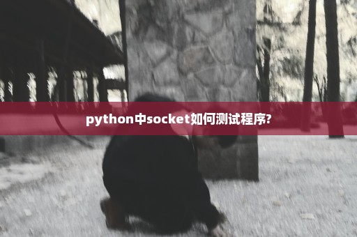 python中socket如何测试程序?