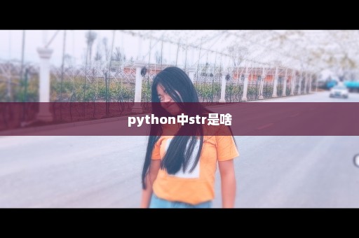 python中str是啥