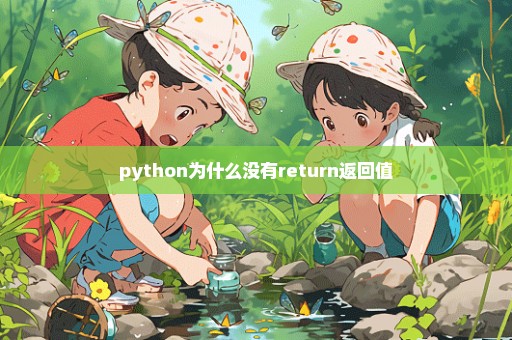 python为什么没有return返回值