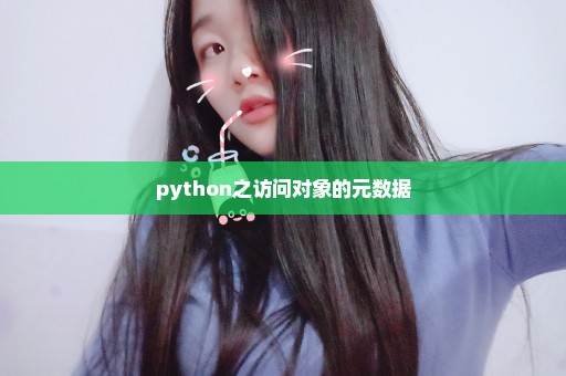 python之访问对象的元数据