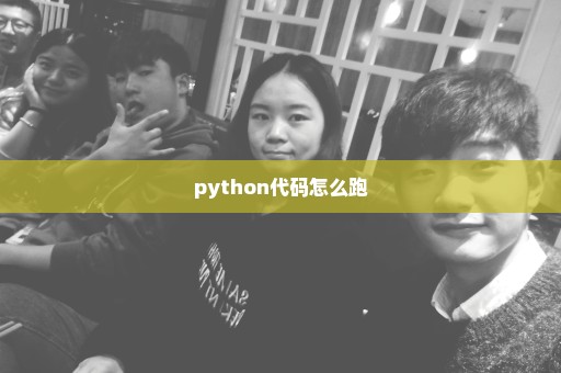 python代码怎么跑