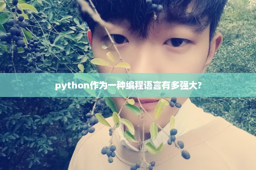 python作为一种编程语言有多强大?