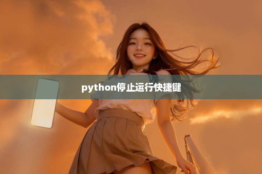 python停止运行快捷键