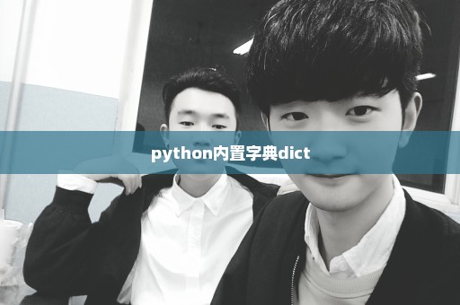 python内置字典dict