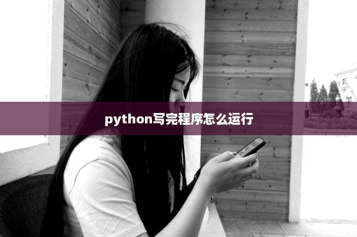 python写完程序怎么运行