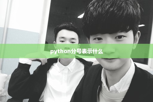 python分号表示什么