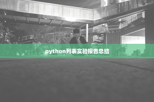 python列表实验报告总结