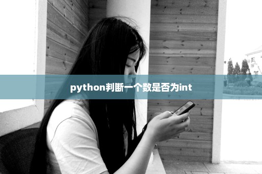 python判断一个数是否为int