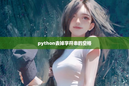 python去掉字符串的空格