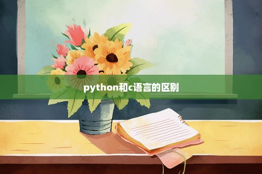 python和c语言的区别