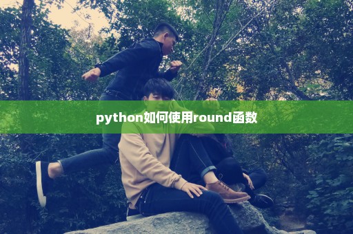 python如何使用round函数