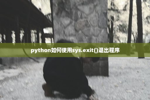 python如何使用sys.exit()退出程序