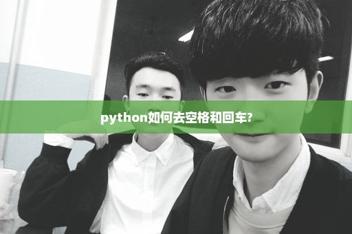 python如何去空格和回车?